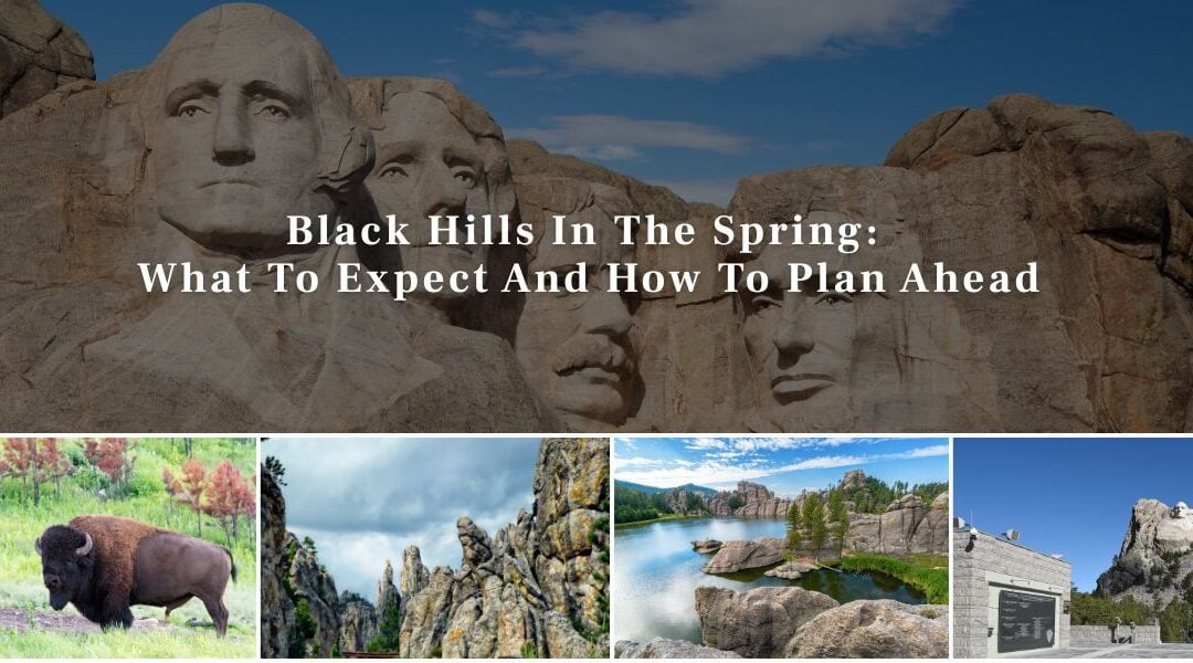 Black Hills In The Spring: What To Expect And How To Plan Ahead
